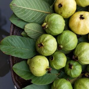 Guava