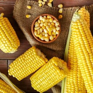 Maize / Corn