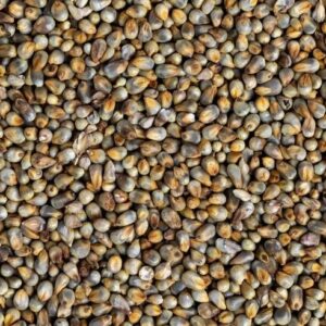 Millets