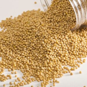 Mustard Seeds (Oil Grade)